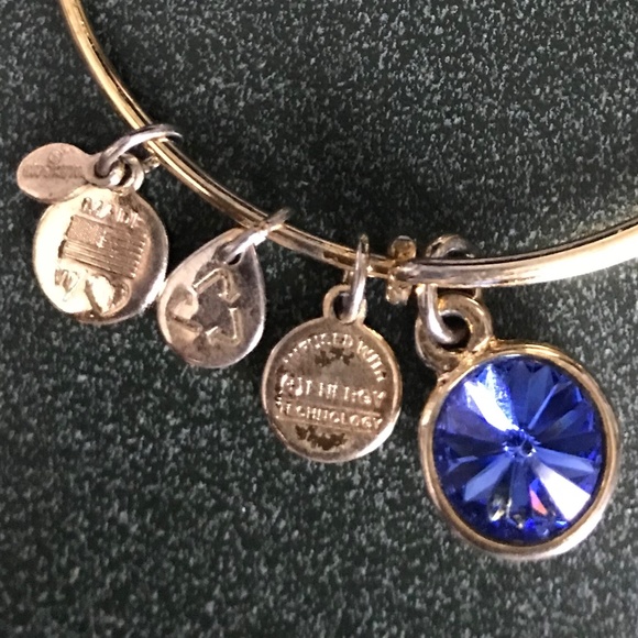Alex and Ani Expandable Wire Bracelet - Picture 12 of 12
